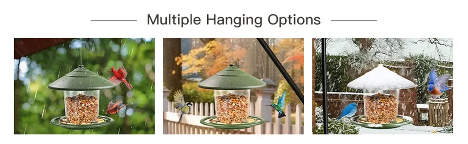 Weather Resistant Bird Feeder for Cardinals, Finch, Blue Jay, Sparrows 2 Blue jay bird feeder shown in multiple hanging options, with various birds and weather conditions depicted