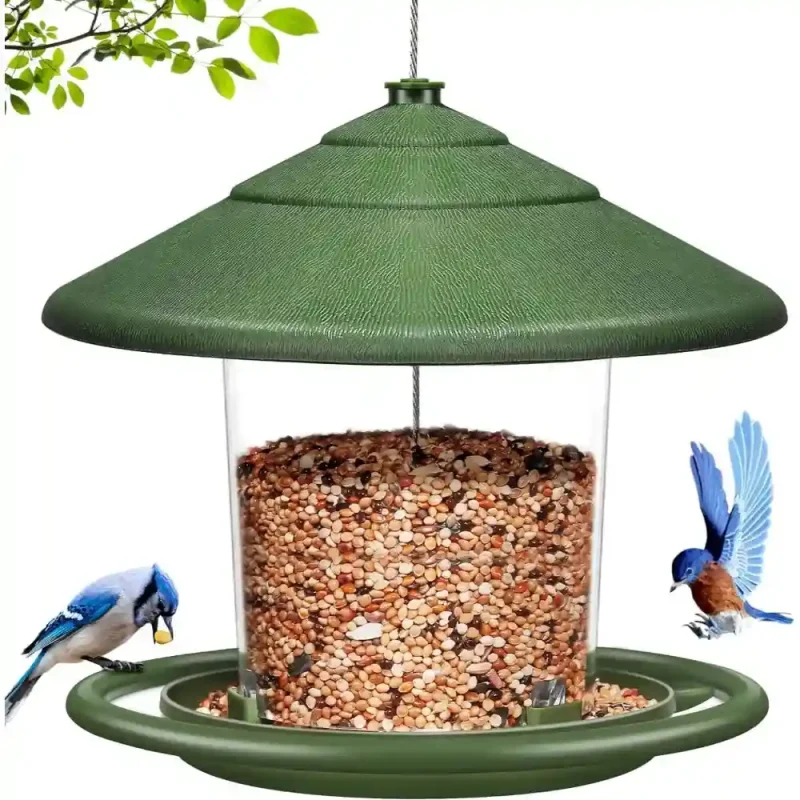 blue-jay-bird-feeder-outdoors A blue jay perched on a green outdoor bird feeder, with another bird in flight