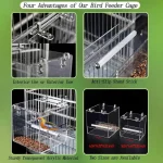 A clear acrylic cage bird feeder for small birds offers a sturdy design, anti-slip perch for various cage sizes