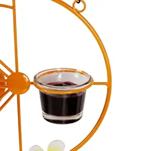 Grape Jelly Bird Feeder - Outdoor Hanging for Orioles & Hummingbirds 4 Easy-to-clean oriole jelly feeder with clear removable cup for viewing