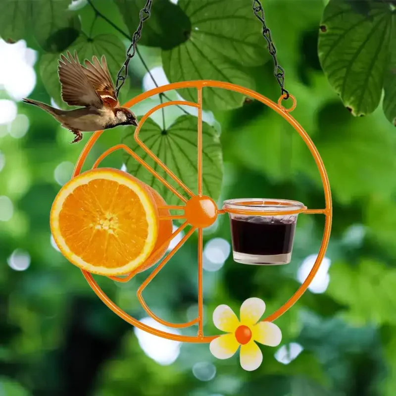 Orange oriole bird feeder with grape jelly, orange half, and a sparrow nearby