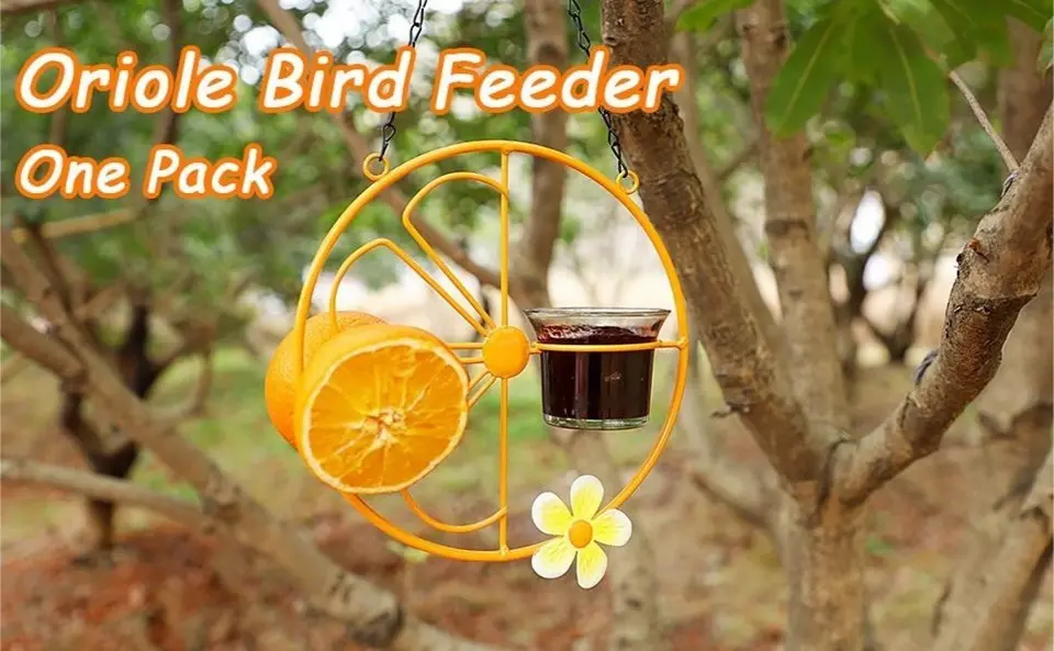 Grape Jelly Bird Feeder - Outdoor Hanging for Orioles & Hummingbirds 1 Orange oriole bird feeder with grape jelly, glass cup, and metal frame, hanging outdoors