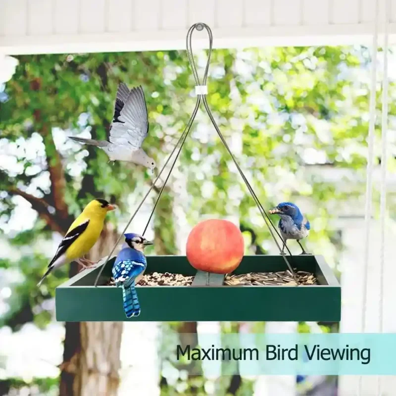 hanging platform bird feeder with multiple birds feeding, ideal for bird watching in your backyard