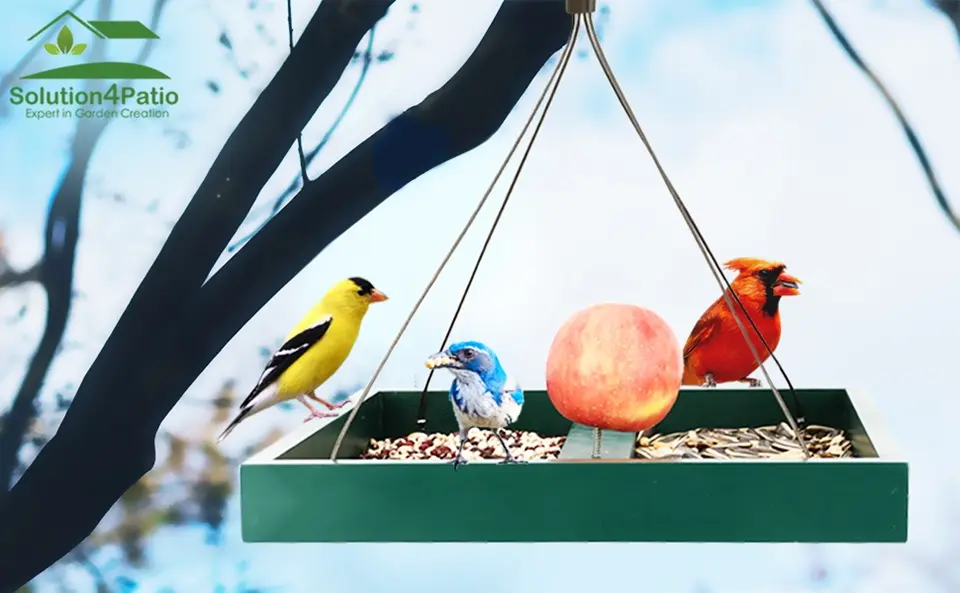 Large Capacity Garden Platform Bird Feeder for Birds & Squirrel 1 hanging platform bird feeder attracting various songbirds including a goldfinch, bluebird, and cardinal