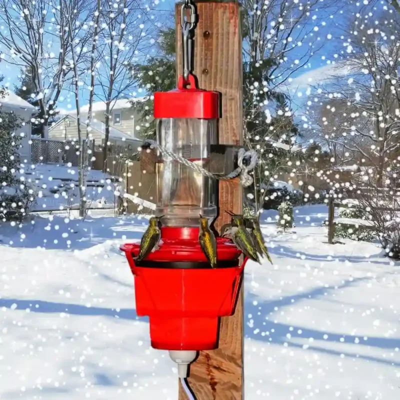 Heated hummingbird feeder with hummingbirds feeding in a snowy winter garden