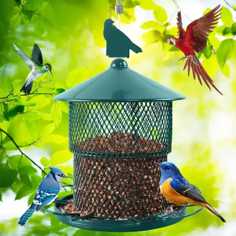 Heavy-duty metal bird feeder, squirrel proof design, 4lb capacity, attracting various birds