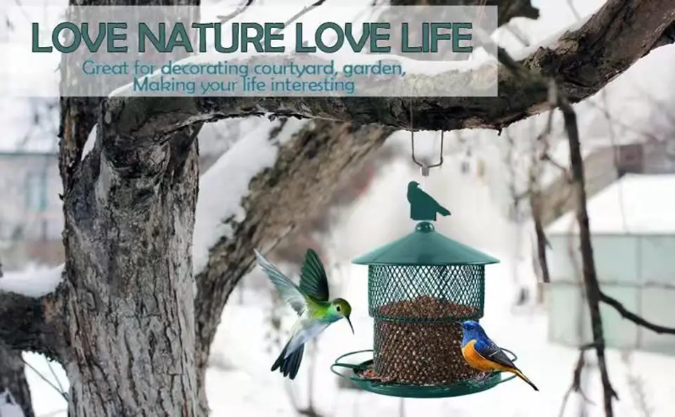 Hanging Heavy Duty Metal Bird Feeder - Squirrel Proof, 4lb Capacity 4 Heavy-duty metal bird feeder providing food for birds during winter, with a hummingbird and other bird present