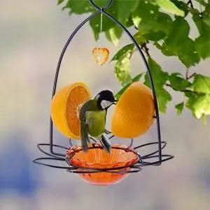 Oriole Nectar & Jelly Bird Feeder - 3oz Capacity, Orange, Easy Clean 3 High - quality oriole bird feeder with orange fruits, made of plastic and powder - coated metal for long - lasting use