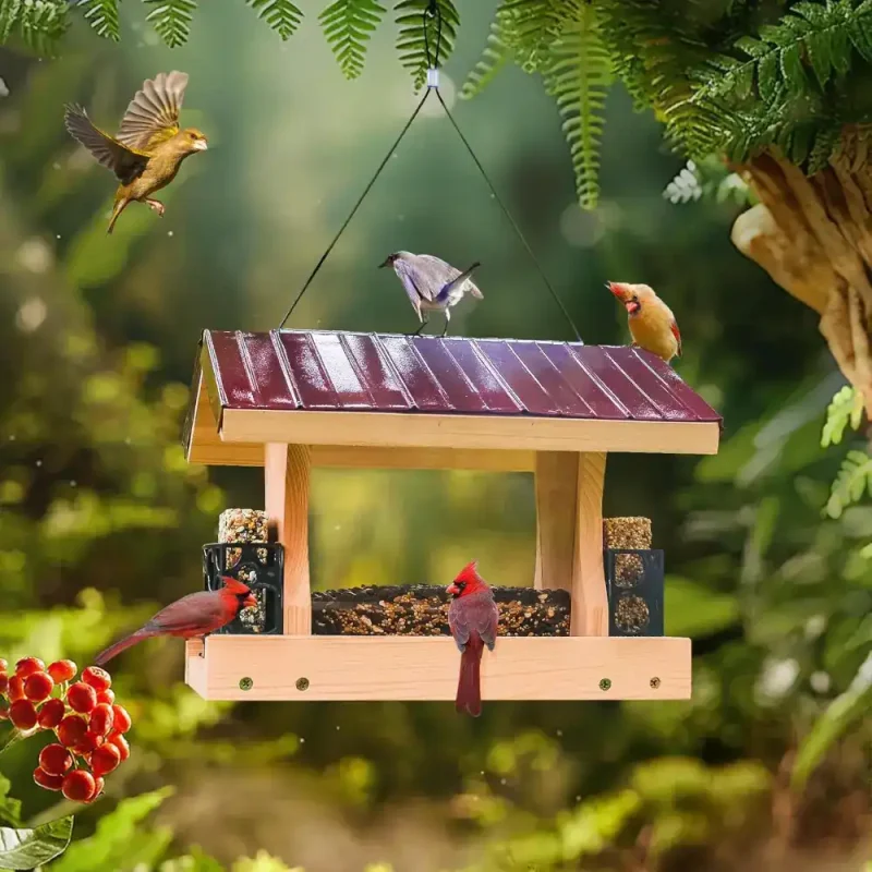 a large hopper bird feeder attracting various songbirds, including cardinals, in a lush garden setting