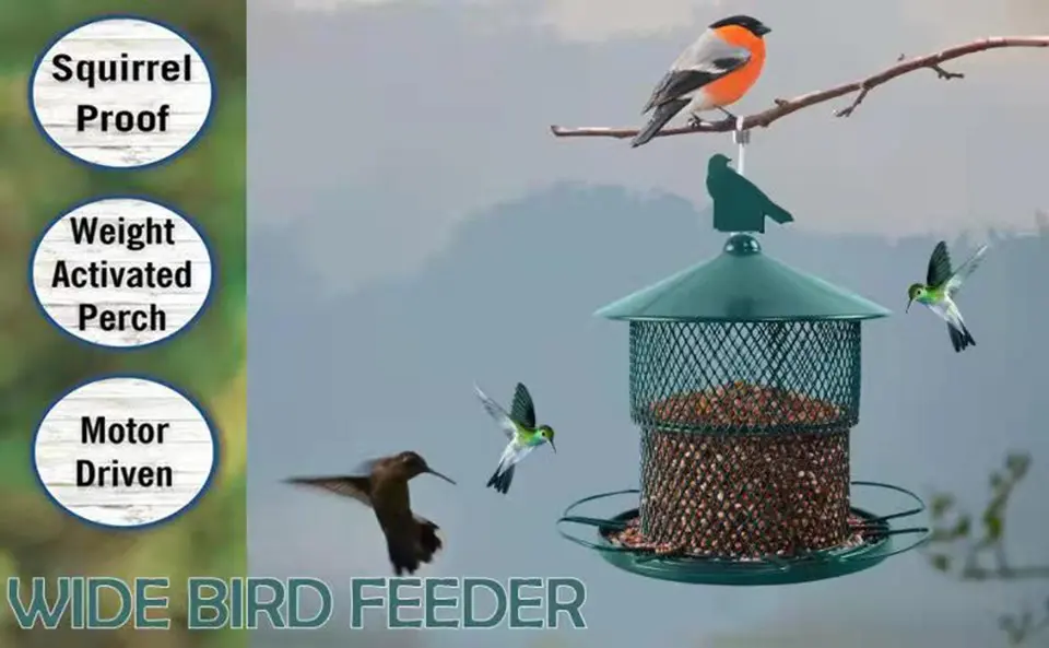 Hanging Heavy Duty Metal Bird Feeder - Squirrel Proof, 4lb Capacity 2 Wide heavy-duty metal bird feeder with squirrel-proof design, weight-activated perch, and motorized feature