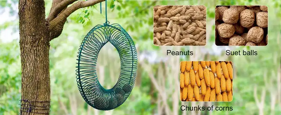 2 Pack Blue Jay Peanut Bird Feeder -Metal Wreath | Outdoor 3 Versatile blue jay peanut bird feeder hanging from a tree branch, showing peanuts, suet balls, and corn as feed options