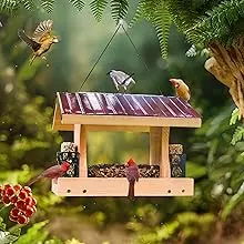 Large Hopper Bird Feeder - DIY Kit, Red Cedar, 10lb Capacity 6 a nice outdoor novelty, a large hopper bird feeder attracting various wild birds in a natural setting