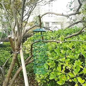 Wire Bird Feeder - Metal Suet Ball Feeder | Outdoor Hanging 2 A green, easy-to-use wire bird feeder hanging from a tree branch in a garden