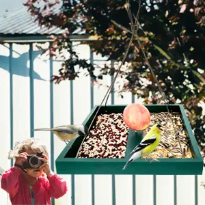 Large Capacity Garden Platform Bird Feeder for Birds & Squirrel 3 open platform bird feeder designed to attract multiple bird species with seeds, fruit, mealworms, or suet