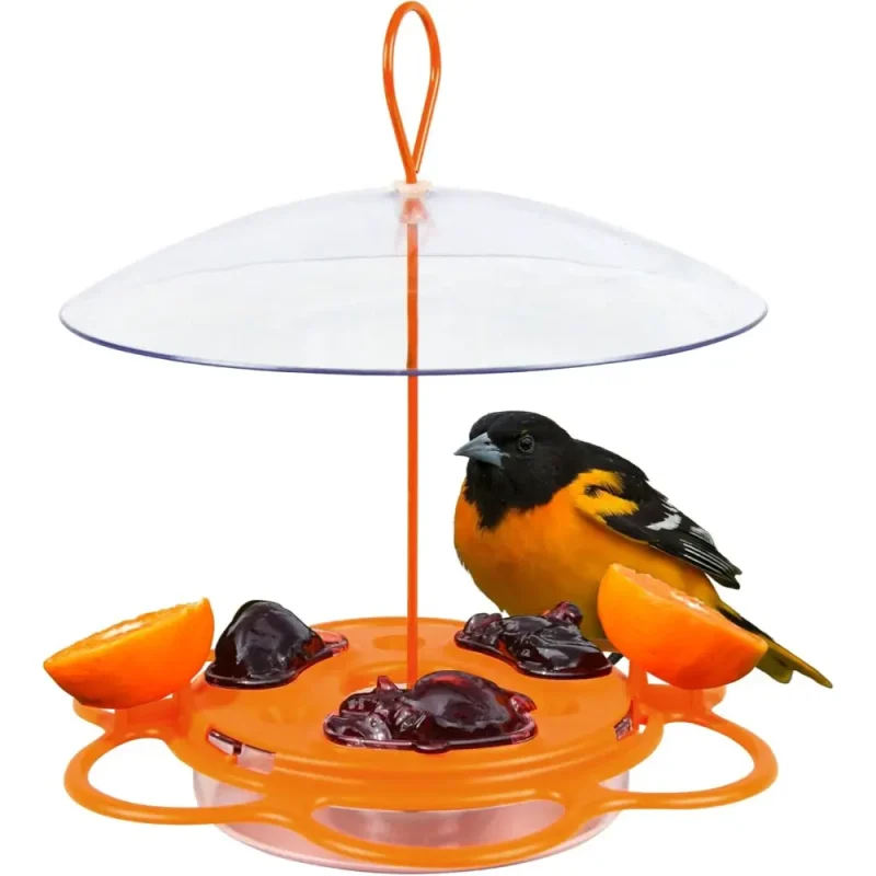 Oriole bird feeder with a clear dome, filled with jelly and orange halves, featuring an oriole bird