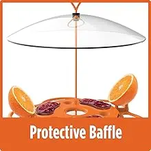 Oriole Jelly Bird Feeder - All-in-One Buffet, Bee & Ant Protection 4 Oriole bird feeder with jelly, protective baffle, and built-in ant moat for safe and effective bird feeding
