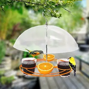 Oriole Grape Jelly Bird Feeder - Weatherproof | Squirrel Proof | Easy Clean 14 Step 6: Enjoying the completed oriole grape jelly bird feeder hanging from a tree
