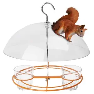 Oriole Grape Jelly Bird Feeder - Weatherproof | Squirrel Proof | Easy Clean 4 Squirrel-proof oriole feeder with clear dome. Keeps squirrels out, attracts orioles