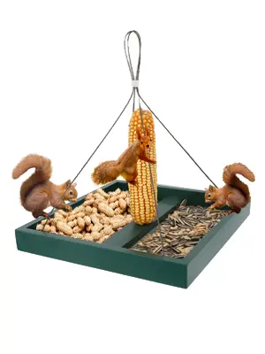 Large Capacity Garden Platform Bird Feeder for Birds & Squirrel 2 A platform bird feeder with various foods, attracting squirrels
