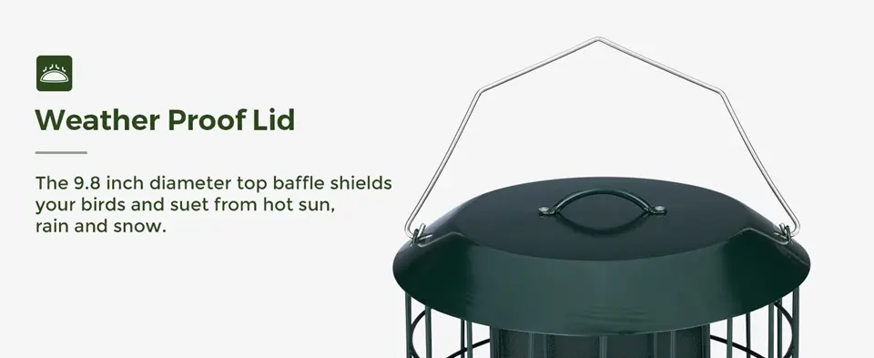 Metal Squirrel Proof Suet Bird Feeder - 2X Capacity - Weatherproof 5 Squirrel proof bird feeder suet, green metal, weatherproof lid, 9.8 inch diameter