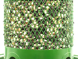 2-Tier Retractable Blue Jay & Cardinal Bird Feeder - Squirrel Proof, 6lb Capacity 8 Squirrel-proof metal bird feeder with sturdy mesh that allows birds to access seeds but deters squirrels