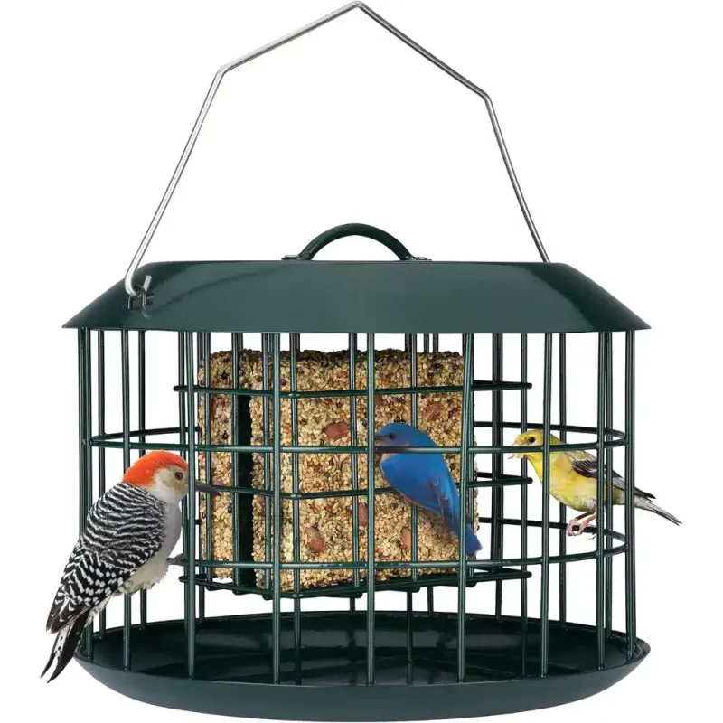 squirrel-proof-suet-bird-feeder-green squirrel proof bird suet feeder green