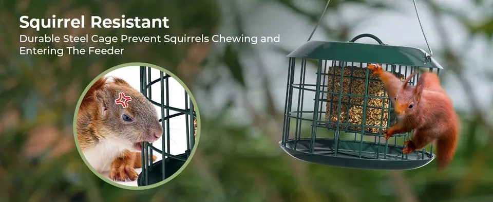 Metal Squirrel Proof Suet Bird Feeder - 2X Capacity - Weatherproof 6 Squirrel proof suet bird feeder, green metal cage, squirrel resistant design