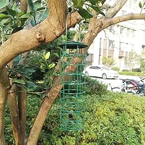 Wire Bird Feeder - Metal Suet Ball Feeder | Outdoor Hanging 3 A wire suet ball bird feeder securely hanging from a tree branch thanks to its steel handle