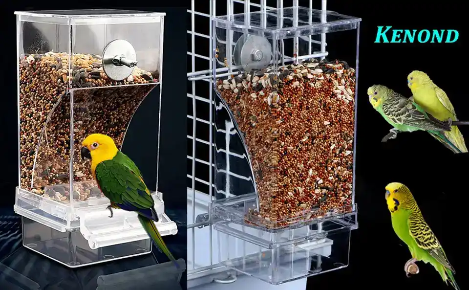 Automatic Bird Feeder for Cage - No Mess, Feeder & Water Set 1 clear automatic bird feeder for cage, easy to install and suitable for various cage birds like parakeets and finches