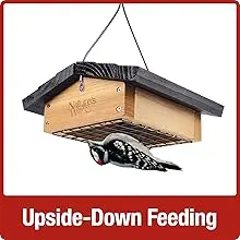 Upside Down Suet Bird Feeder - Cedar Wood, Easy Fill, 1 Cake Capacity 5 Upside down suet bird feeder, cedar wood, with downy woodpecker feeding