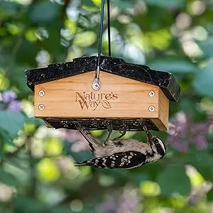 Upside Down Suet Bird Feeder - Cedar Wood, Easy Fill, 1 Cake Capacity 1 Upside down suet bird feeder, cedar wood, with downy woodpecker feeding in garden