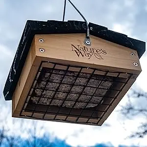 Upside Down Suet Bird Feeder - Cedar Wood, Easy Fill, 1 Cake Capacity 2 Upside down suet bird feeder, cedar wood, hanging against sky