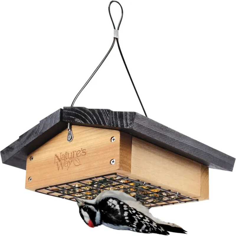 Upside down suet bird feeder, cedar wood, with woodpecker feeding