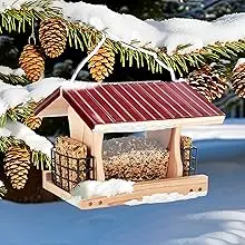Large Hopper Bird Feeder - DIY Kit, Red Cedar, 10lb Capacity 5 large hopper bird feeder providing winter wildbird care with bird seed and suet in a snowy landscape