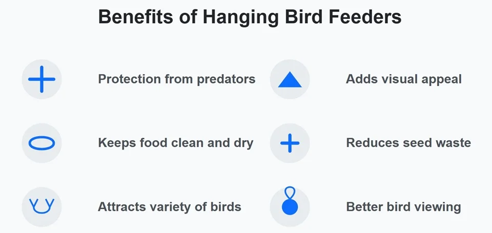 5 Easy DIY Hanging Bird Feeders to Attract More Birds to Your Garden 2 benefit of hanging bird feeders