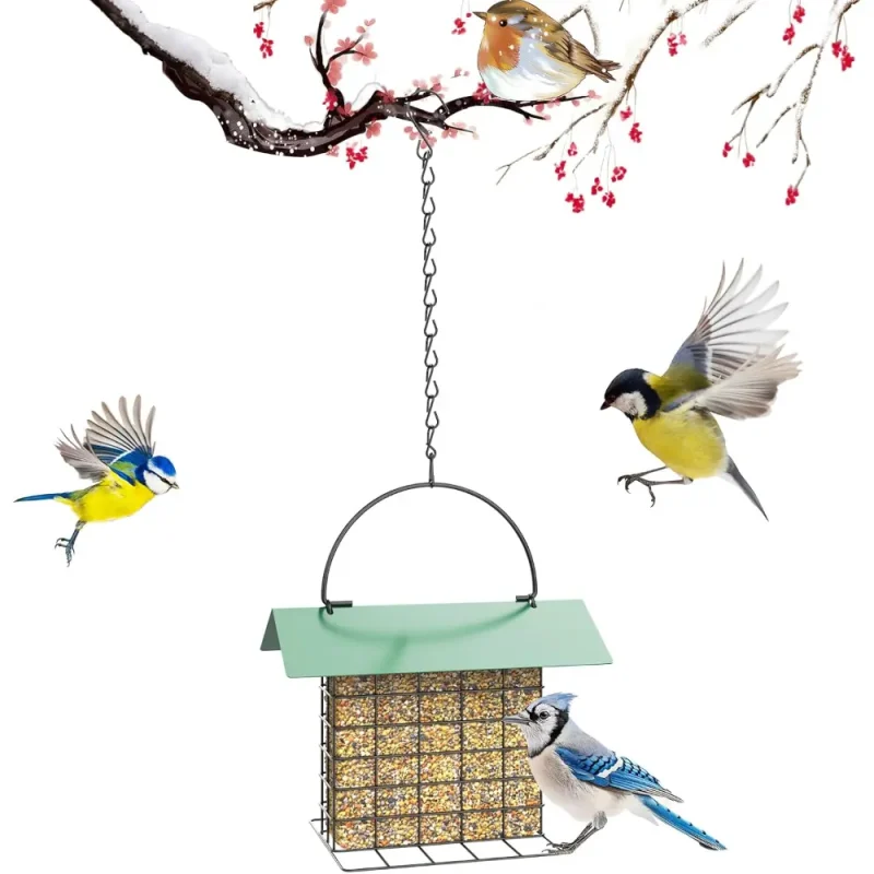 birds attracting hanging suet bird feeder