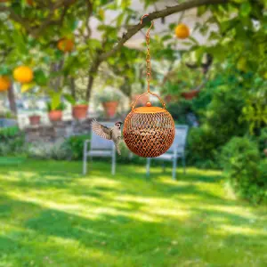 Set of 3 Squirrel Proof Ball Bird Feeders - Metal Hanging 4 garden setting single ball bird feeder outdoor