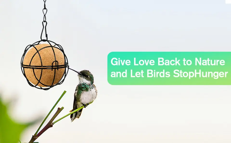 6 Pcs Round Suet Ball Bird Feeders - Metal Hanging with Hooks 3 hummingbird feeding suet ball bird feeder nature garden