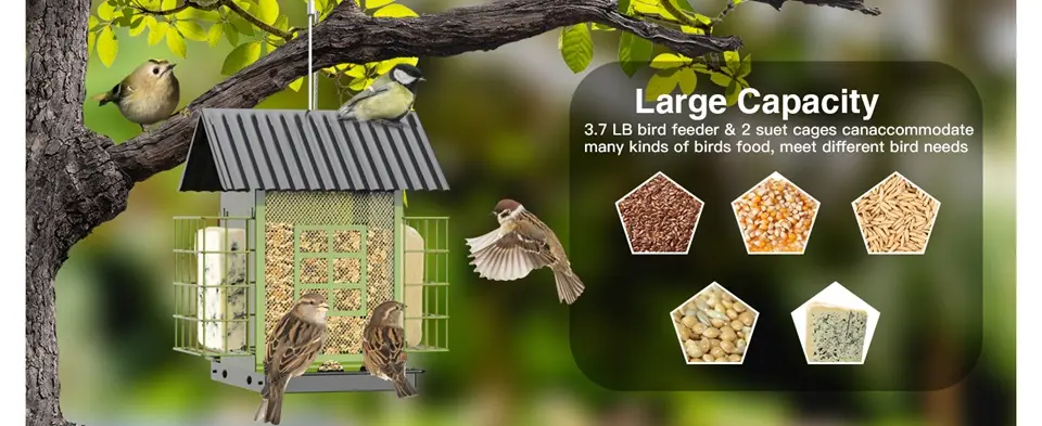 Large Capacity Double Suet Bird Feeder for Outdoors Hanging 2 large capacity double suet bird feeder seed suet variety