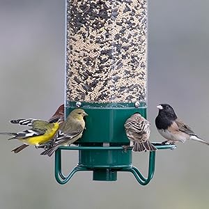 Droll Yankee Squirrel Proof Bird Feeder - 5lb, Rotating Perch 4 multiple birds feeding yankee flipper bird feeder closeup