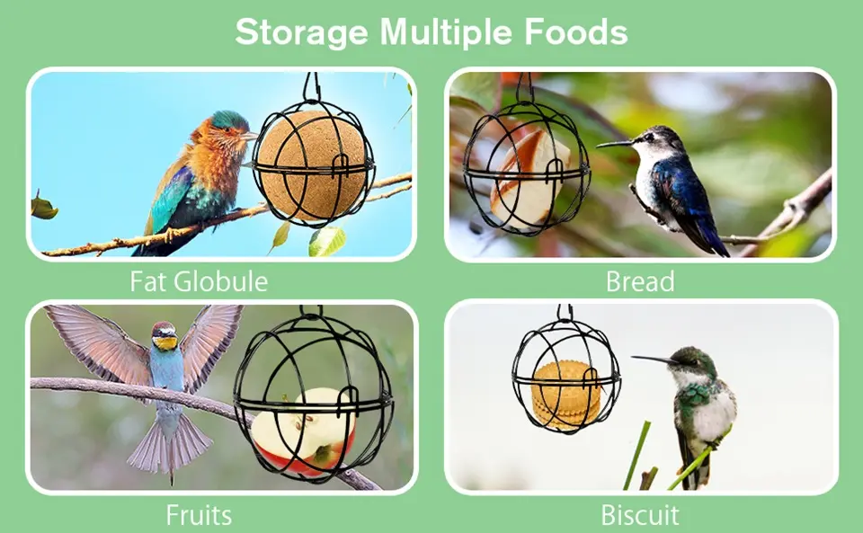 6 Pcs Round Suet Ball Bird Feeders - Metal Hanging with Hooks 1 multiple foods suet ball bird feeder fat fruits bread