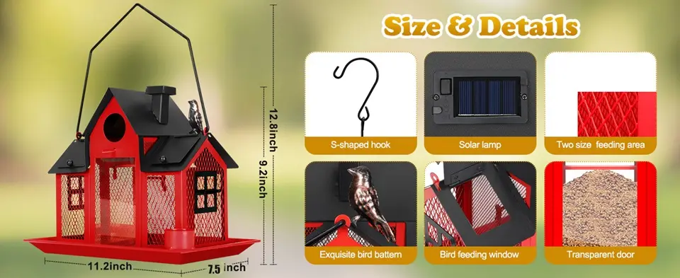 Solar Large Cardinal Bird Feeder Squirrel Proof 3 size details diagram solar bird feeder house features