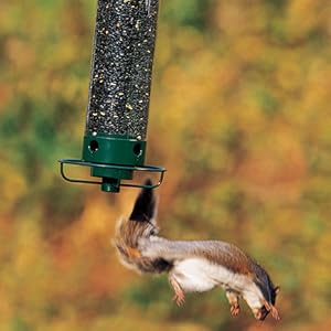 Droll Yankee Squirrel Proof Bird Feeder - 5lb, Rotating Perch 2 squirrel being tossed yankee flipper action shot