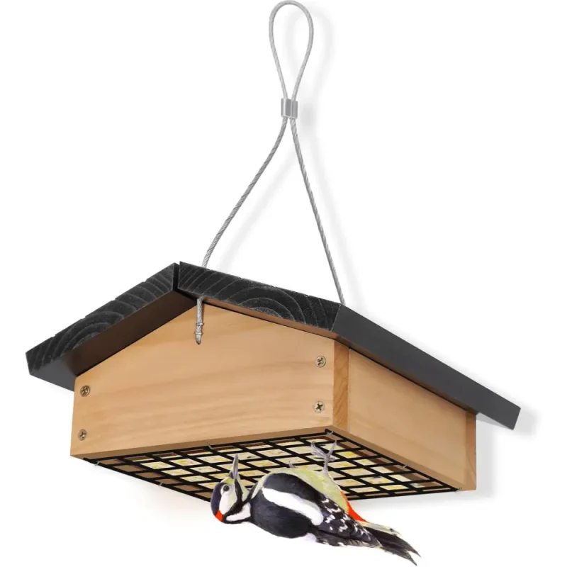 upside down woodpecker suet feeder bird watching