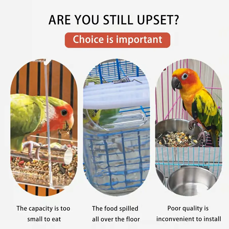 No Mess Automatic Bird Feeder 3 bird feeder problems solved by no mess design