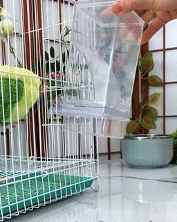 No Mess Automatic Bird Feeder 1 easy to clean no mess bird feeder removal