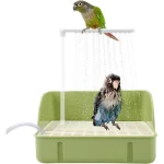 green cheek conure in automatic bird bath shower