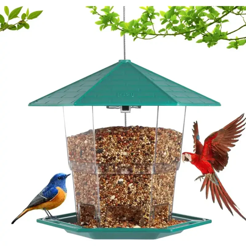green hanging small bird feeder attracting birds