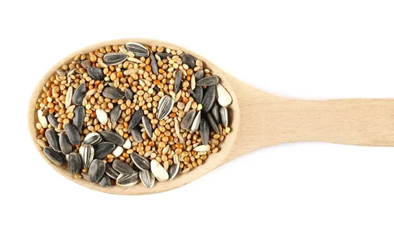 What is a Hopper Bird Feeder? Your Complete Guide to Attracting More Birds 5 mixed birdseed sunflower millet oats