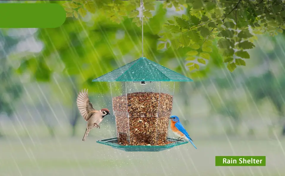 Small Squirrel Proof Bird Feeder - Green, 3LB Capacity 4 rain shelter weatherproof small bird feeder